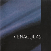Venaculas