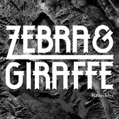 Dive (Stripped Down) by Zebra & Giraffe