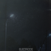 Electrode