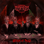 Nation Of Dogs