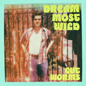 Dream Most Wild