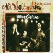Abi Wallenstein – Blues Culture