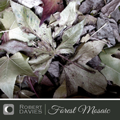 Forest Mosaic