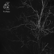 Tree of Death