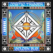 Cosmic Trigger