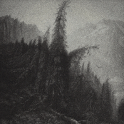 The Misty Kingdom