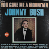 You Gave Me A Mountain