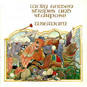 Lucky Golden Stripes And Starpose