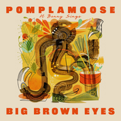Big Brown Eyes