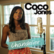 Chandelier cover