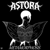 Metamorphosis