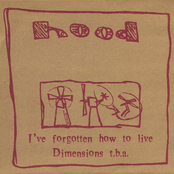 I've Forgotten How to Live