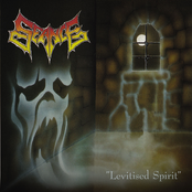 Levitised Spirit
