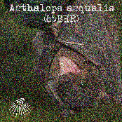 Aethalops aequalis
