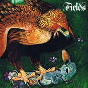 Fields