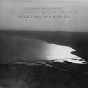 Reflections on a Dead Sea