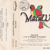 Live at Reggae Sunsplash