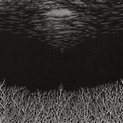 The Slow Dying Of The Great Barrier Reef
