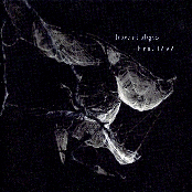 trace of abyss
