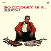 Bo Diddley is A ... Lover