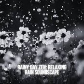 Rainfall Oasis: Journey to Serenity