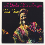 A Todos Mis Amigos cover