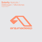 Apricots / Stellwagen / Microtones