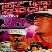 Bone Hard Zaggin
