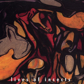 Lives of Insects