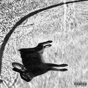 Gvllow – Orchid