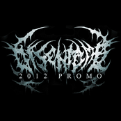 2012 Promo