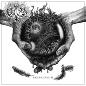 Principium