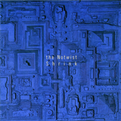 The Notwist – Shrink