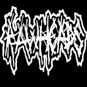Rawheads