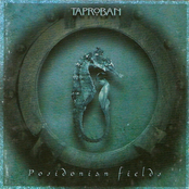 Posidonian Fields
