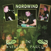 The Viking Party