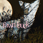 fawnbuck
