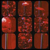 Red Riptide