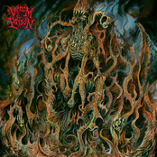 The Primal Chaos cover