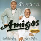 Die Amigos – Die Grossen Erfolge