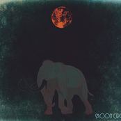 Moon Circle
