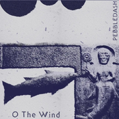 O The Wind