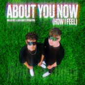 Niklas Dee – About You Now (How I Feel)