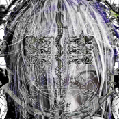 veil