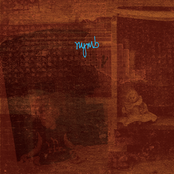 Cutting Teeth: 1997-1999