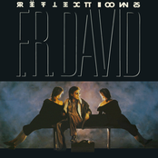F. R. David – Reflections