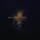 Feral Thing