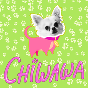 Chiwawa (Sped Up)