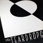 Final Vinyl