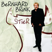 Bernhard Brink – Stier